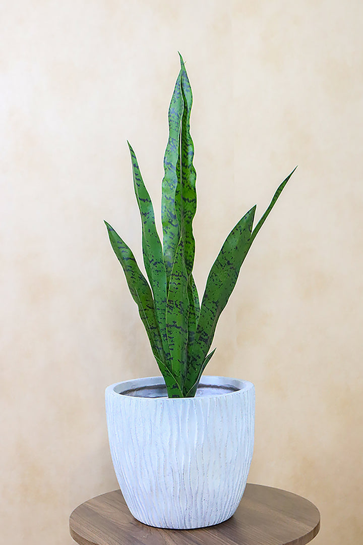 Planter - Flower Pot