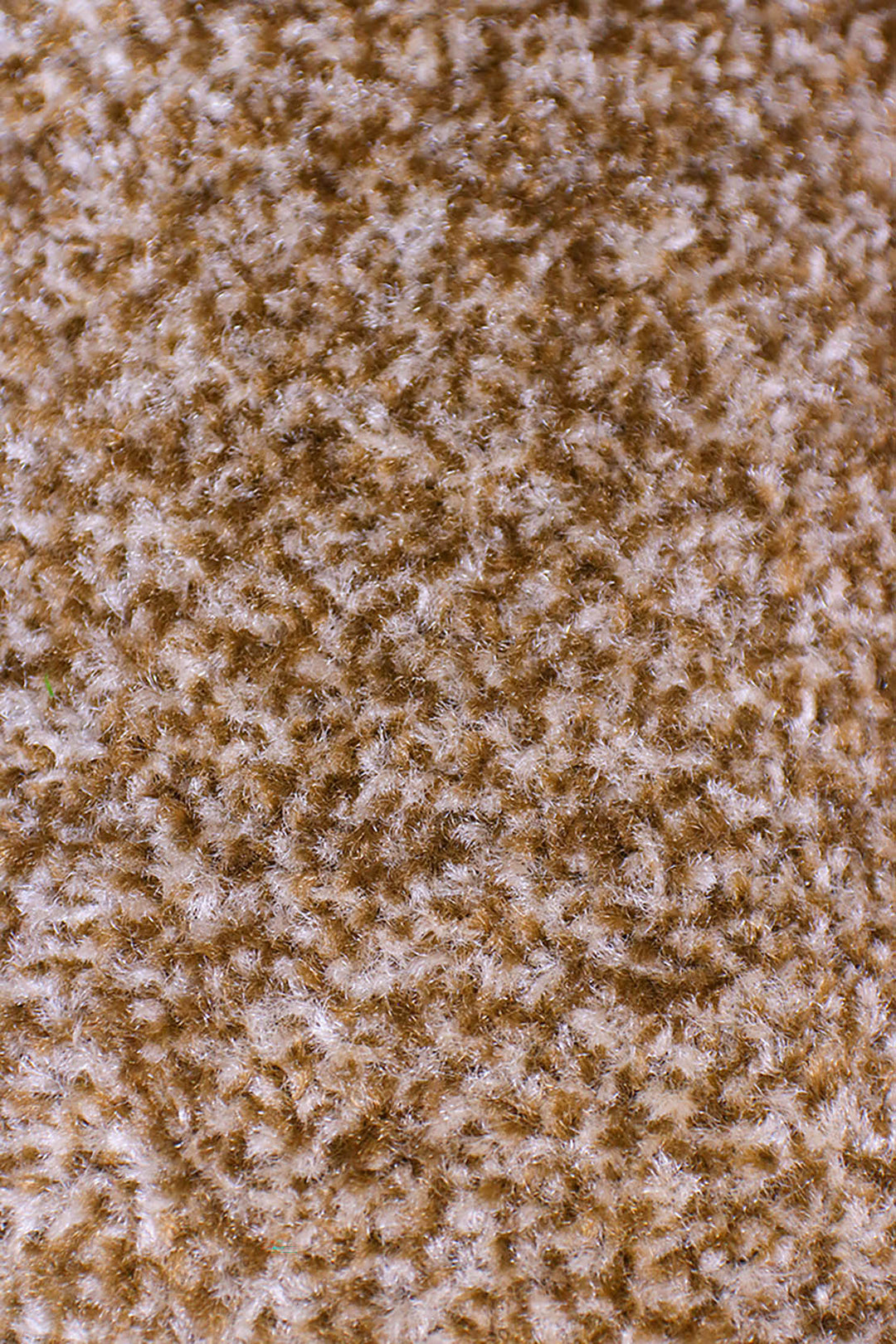 FRG 82 - 12 Foot Wide  Wall-to-Wall Carpet