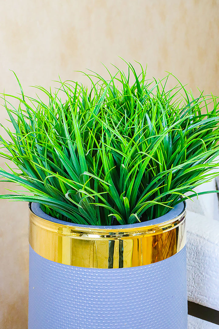 Plastic Planter with Plant