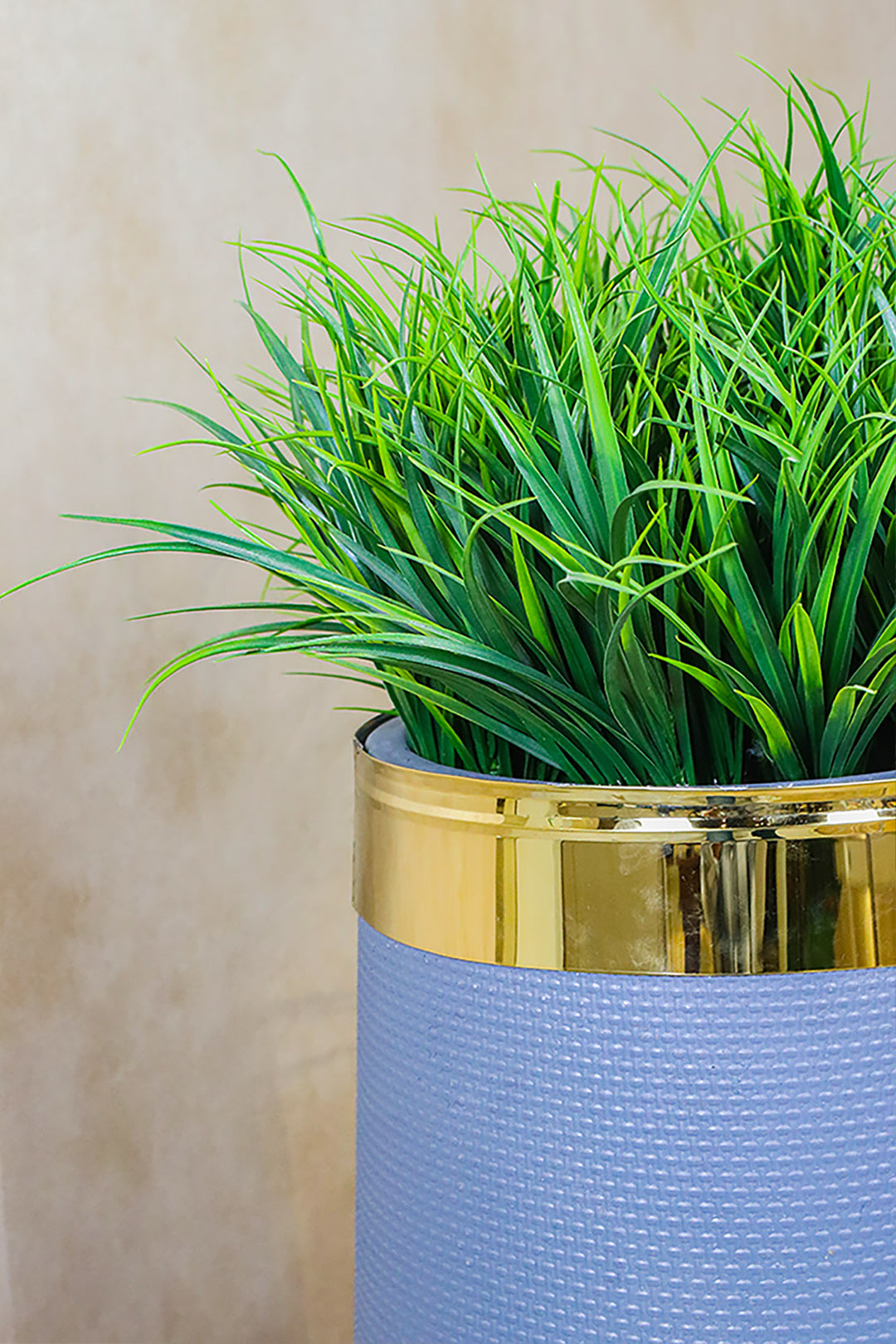 Plastic Planter with Plant