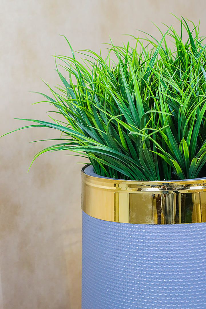 Plastic Planter with Plant