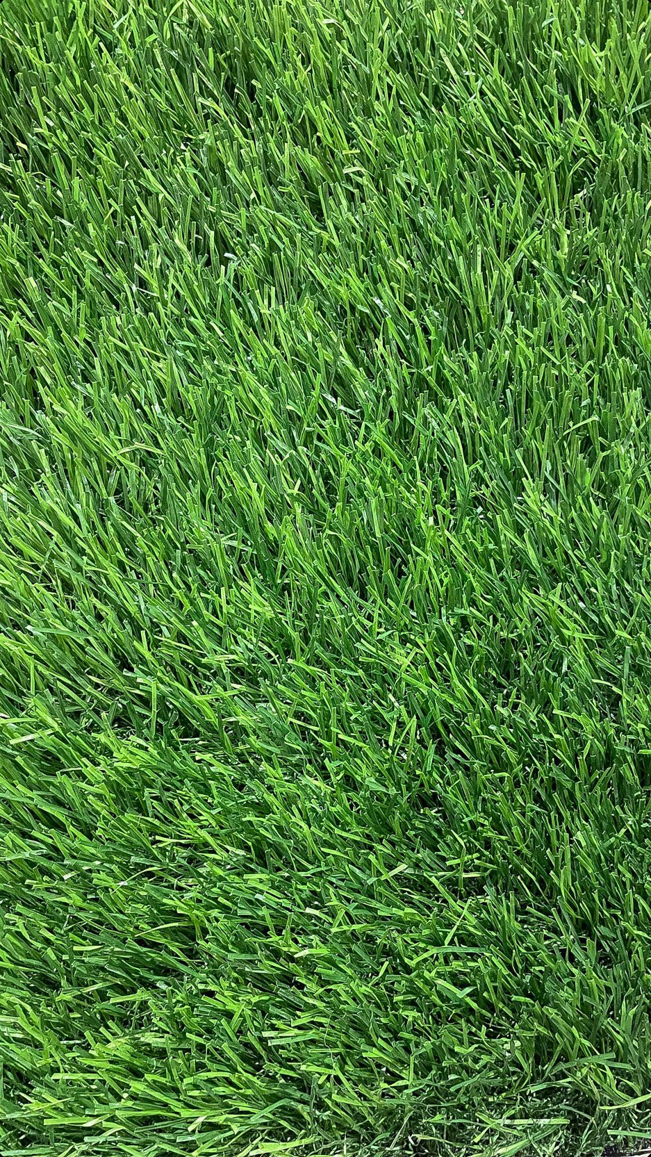 50 MM Frankfurt Artificial Grass for Indoor and Outdoor Use, Soft and Lush Natural Looking - V Surfaces