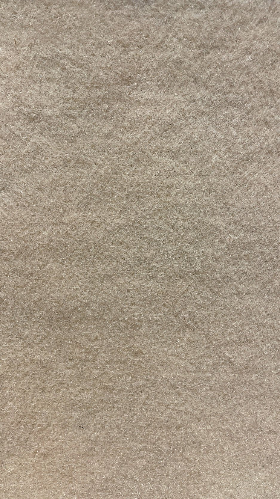 Brilliance- 13-Foot Wide Wall-to-Wall Carpet, Cream - V Surfaces