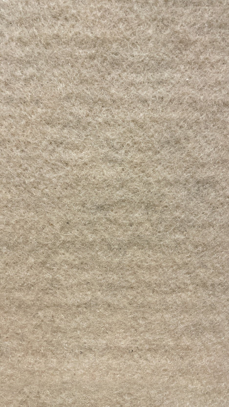Brilliance- 13-Foot Wide Wall-to-Wall Carpet, Silver - V Surfaces
