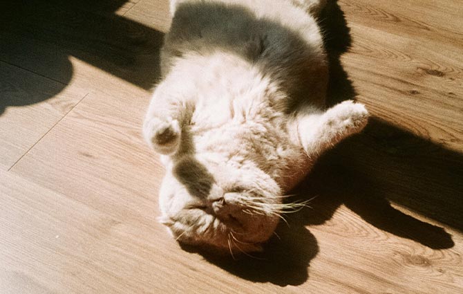 Turkish Laminates, Natural MESE 204