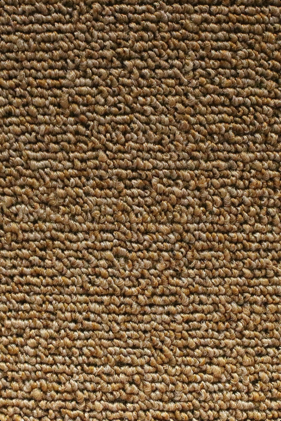 Express - 12-Foot Wide Wall-to-Wall Carpet - V Surfaces