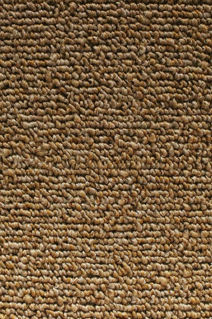 Express - 12-Foot Wide Wall-to-Wall Carpet - V Surfaces