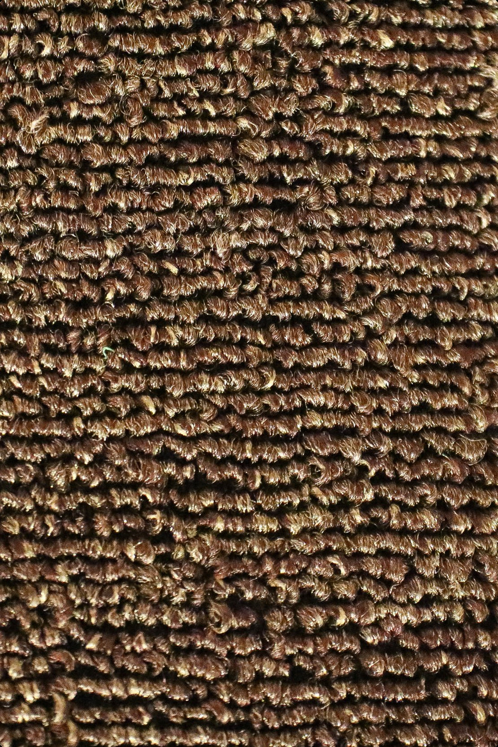 Express - 12-Foot Wide Wall-to-Wall Carpet - V Surfaces