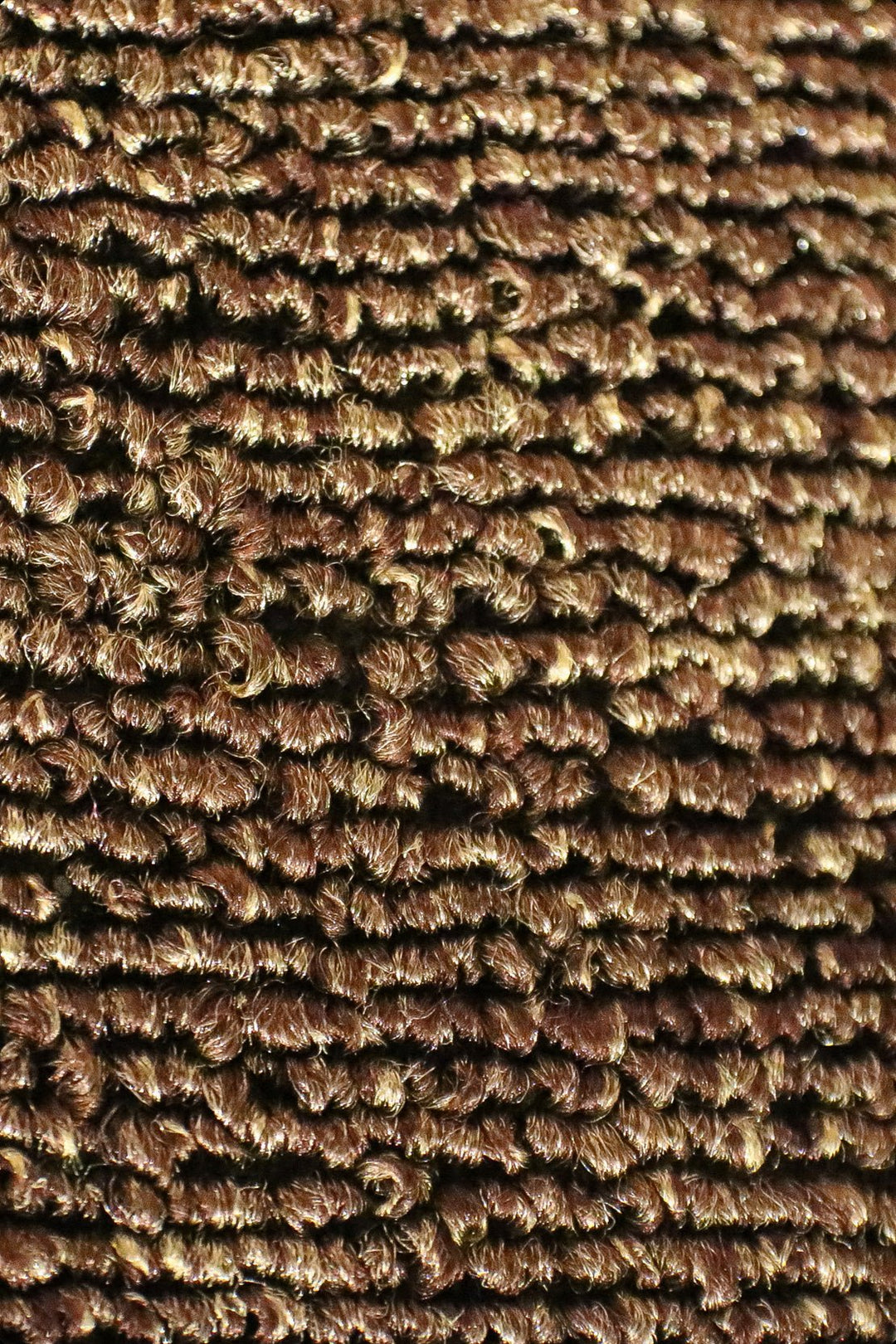 Express - 12-Foot Wide Wall-to-Wall Carpet - V Surfaces