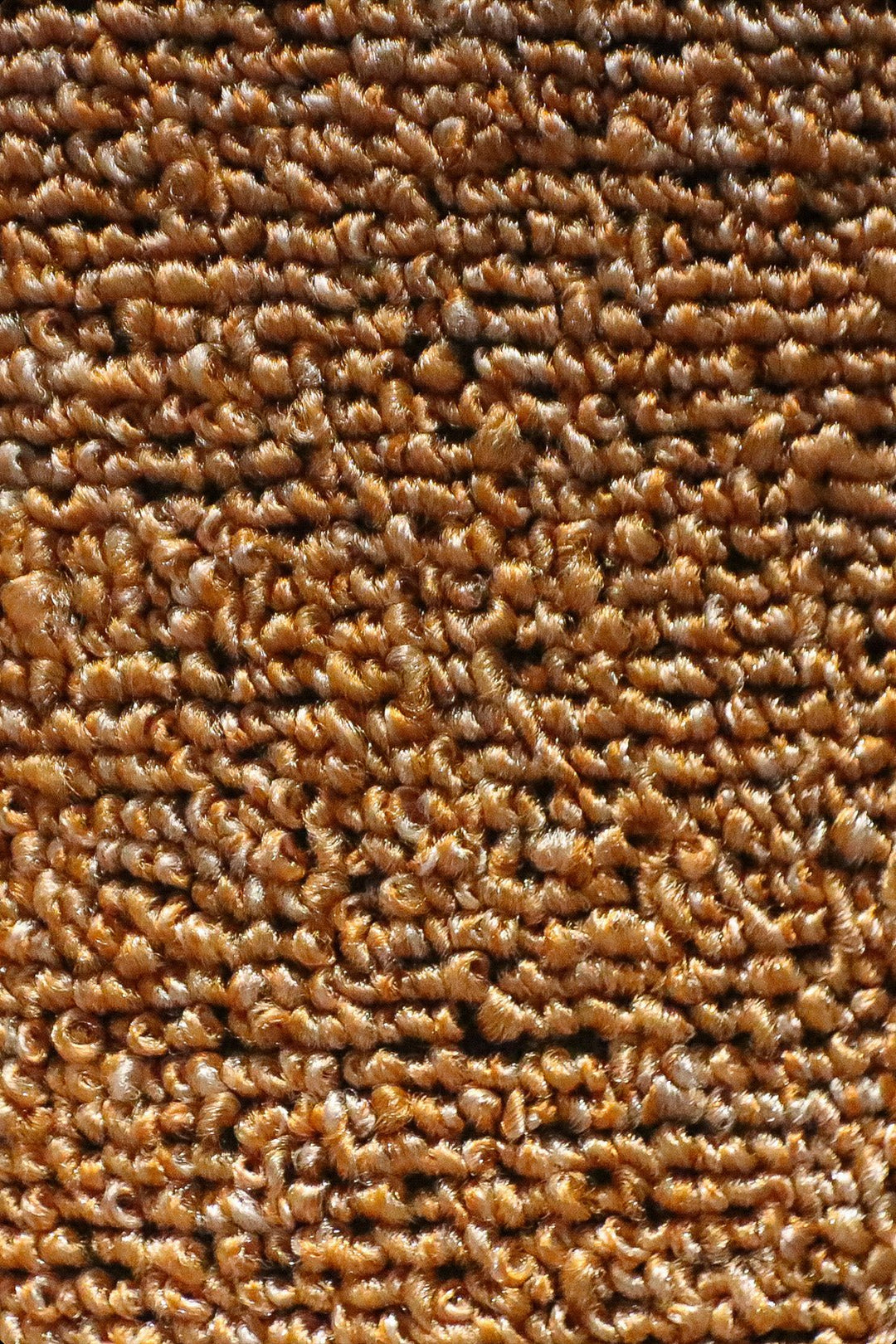 Express - 12-Foot Wide Wall-to-Wall Carpet - V Surfaces