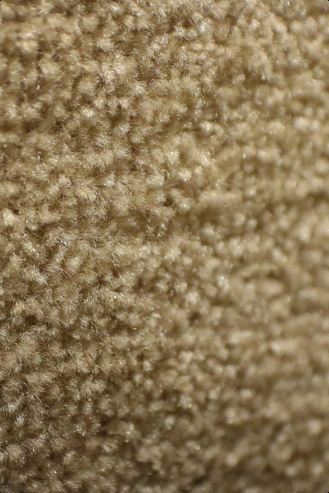 Fragnance - 12-Foot Wide Wall-to-Wall Carpet - V Surfaces