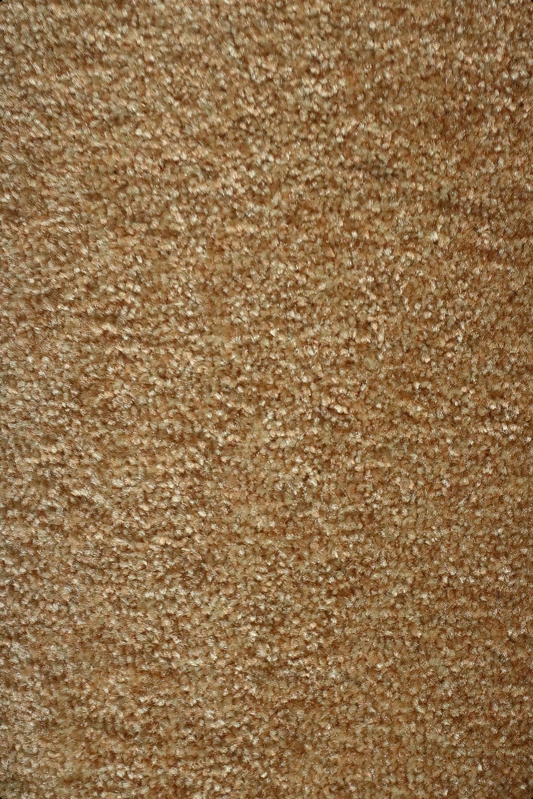 Fragnance - 12-Foot Wide Wall-to-Wall Carpet - V Surfaces