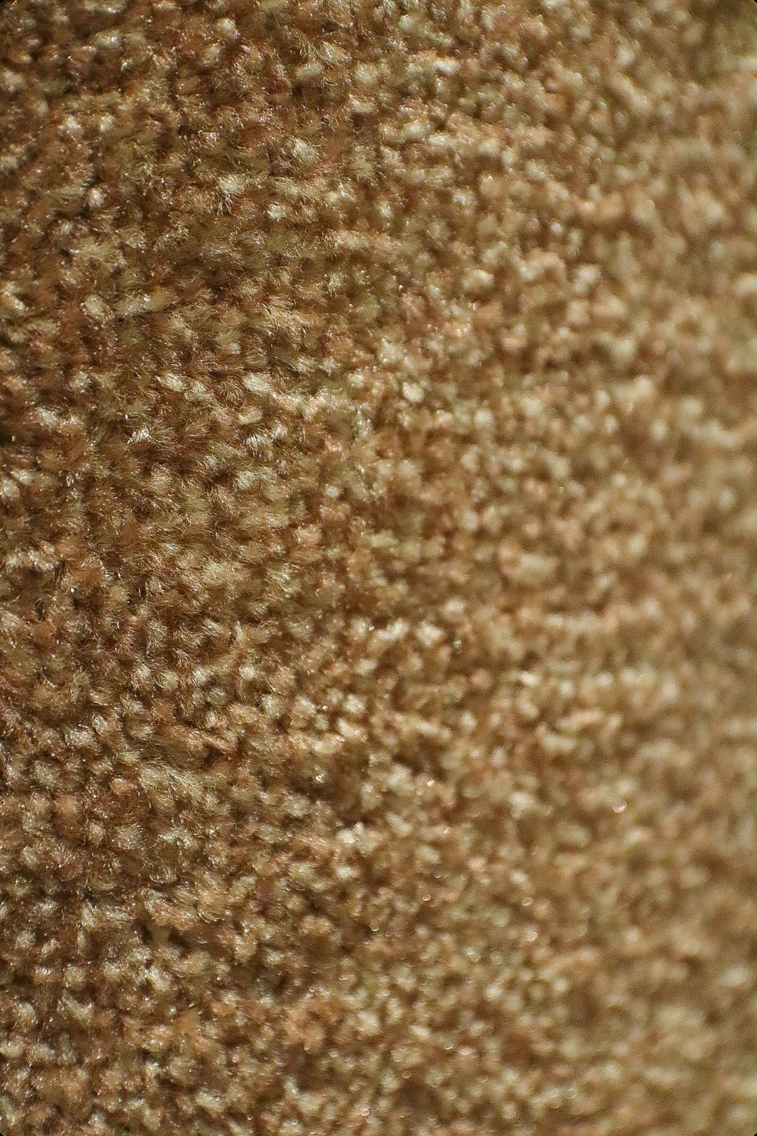Fragnance - 12-Foot Wide Wall-to-Wall Carpet - V Surfaces