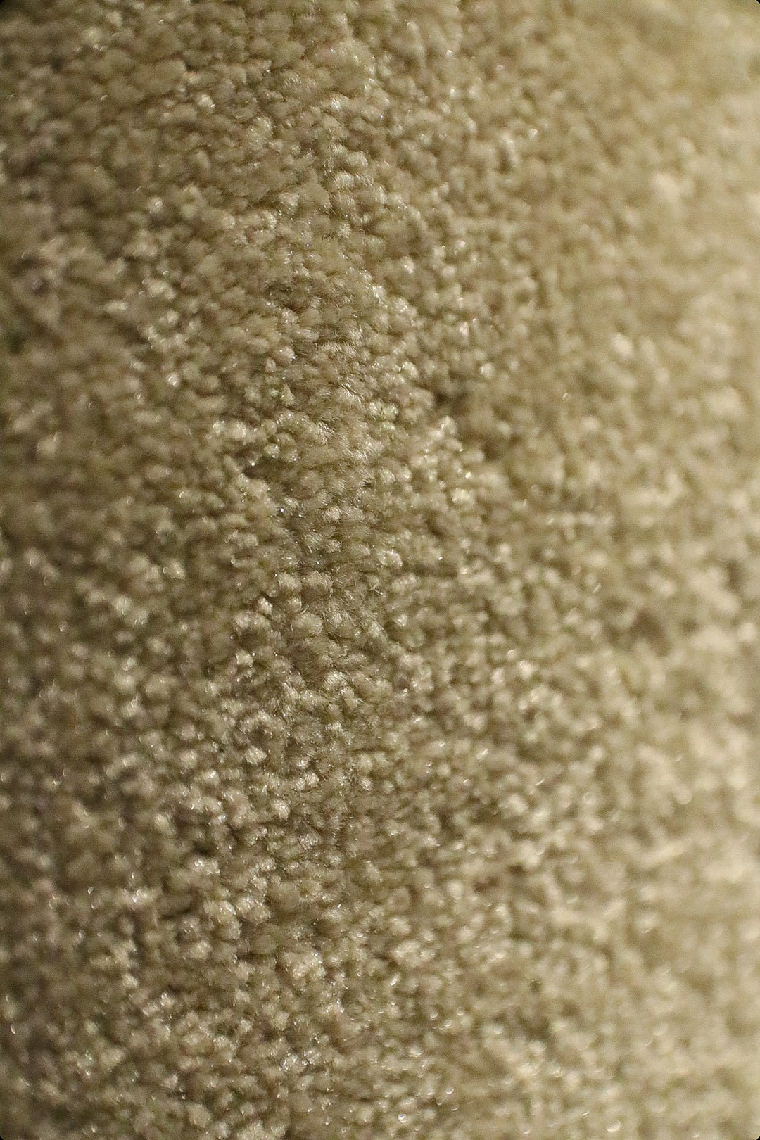 Shangrila - 12-Foot Wide Wall-to-Wall Carpet - V Surfaces