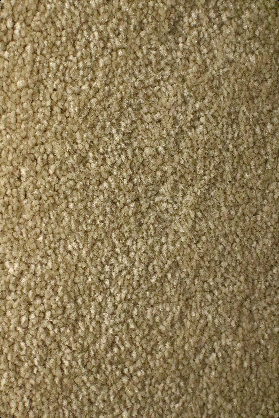 Shangrila - 12-Foot Wide Wall-to-Wall Carpet - V Surfaces