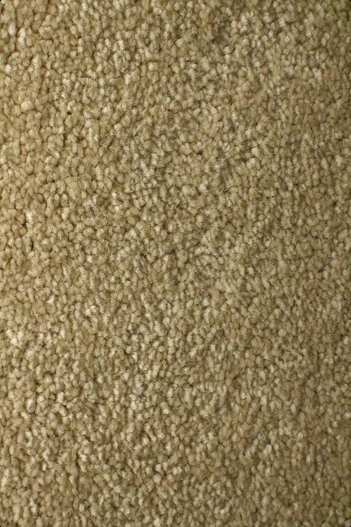 Shangrila - 12-Foot Wide Wall-to-Wall Carpet - V Surfaces