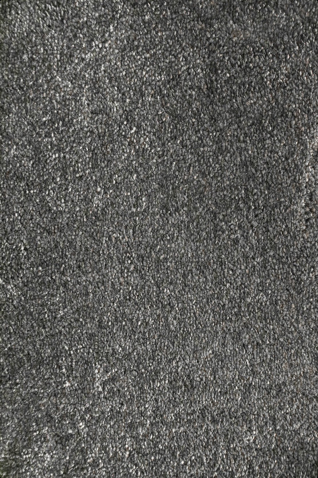 Shangrila - 12-Foot Wide Wall-to-Wall Carpet - V Surfaces