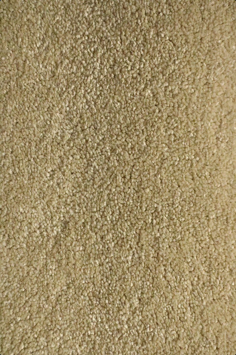 Shangrila - 12-Foot Wide Wall-to-Wall Carpet - V Surfaces