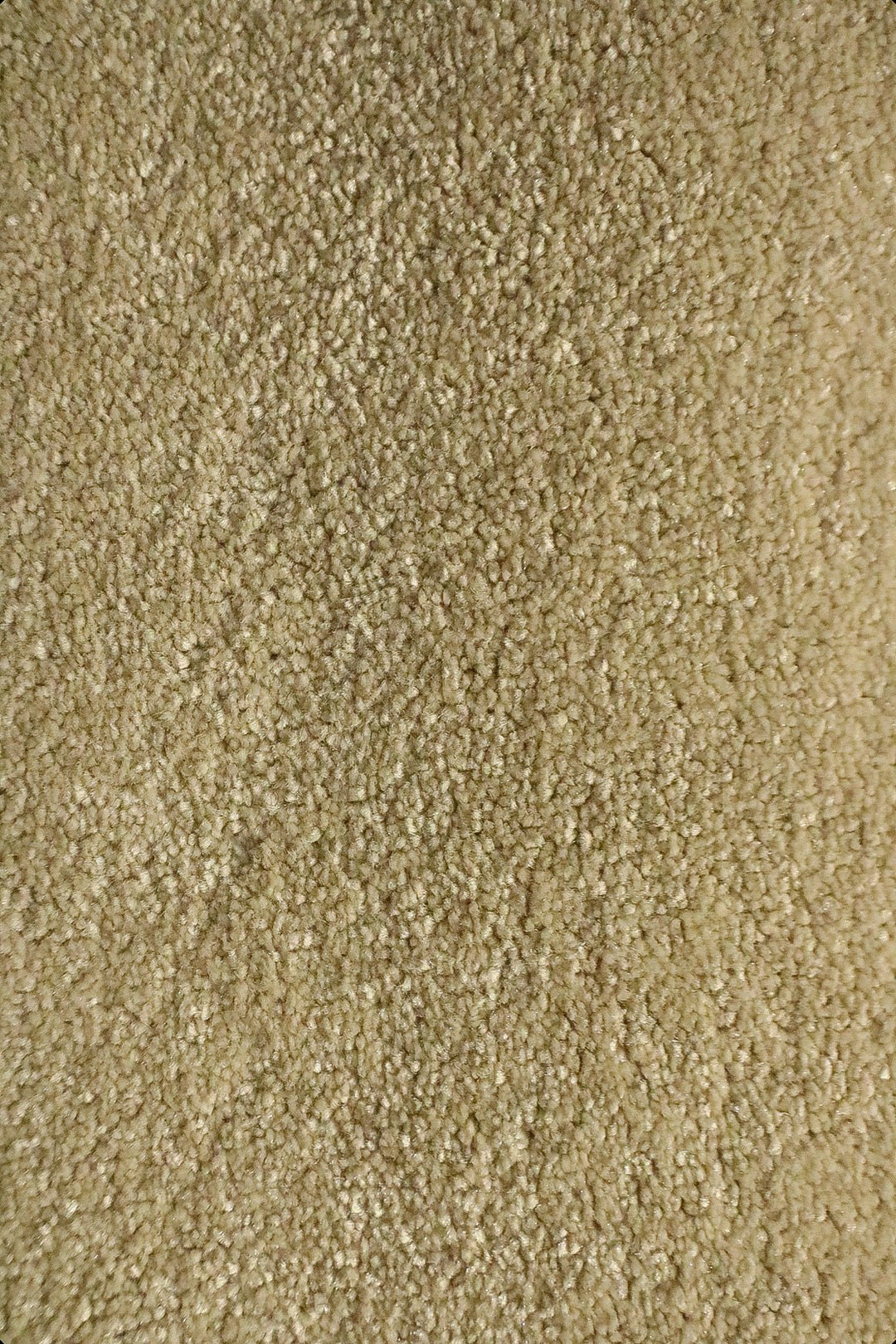 Shangrila - 12-Foot Wide Wall-to-Wall Carpet - V Surfaces