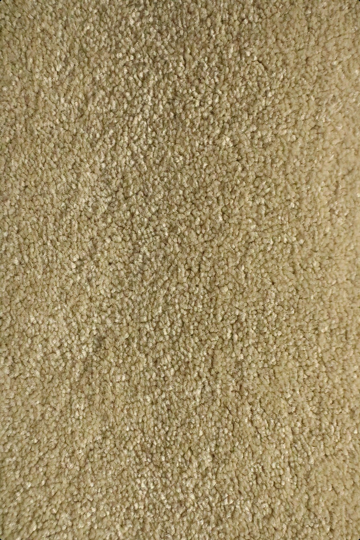 Shangrila - 12-Foot Wide Wall-to-Wall Carpet - V Surfaces