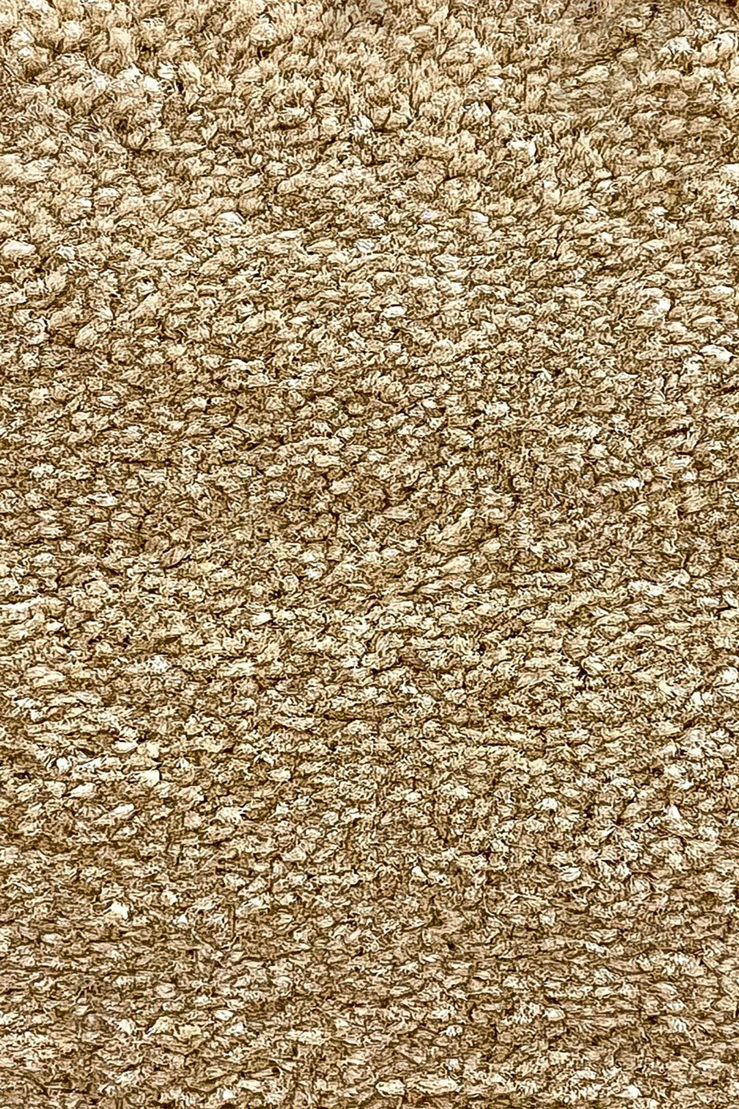 Shangrilla- 12-Foot Wide Wall-to-Wall Carpet, Brown - V Surfaces