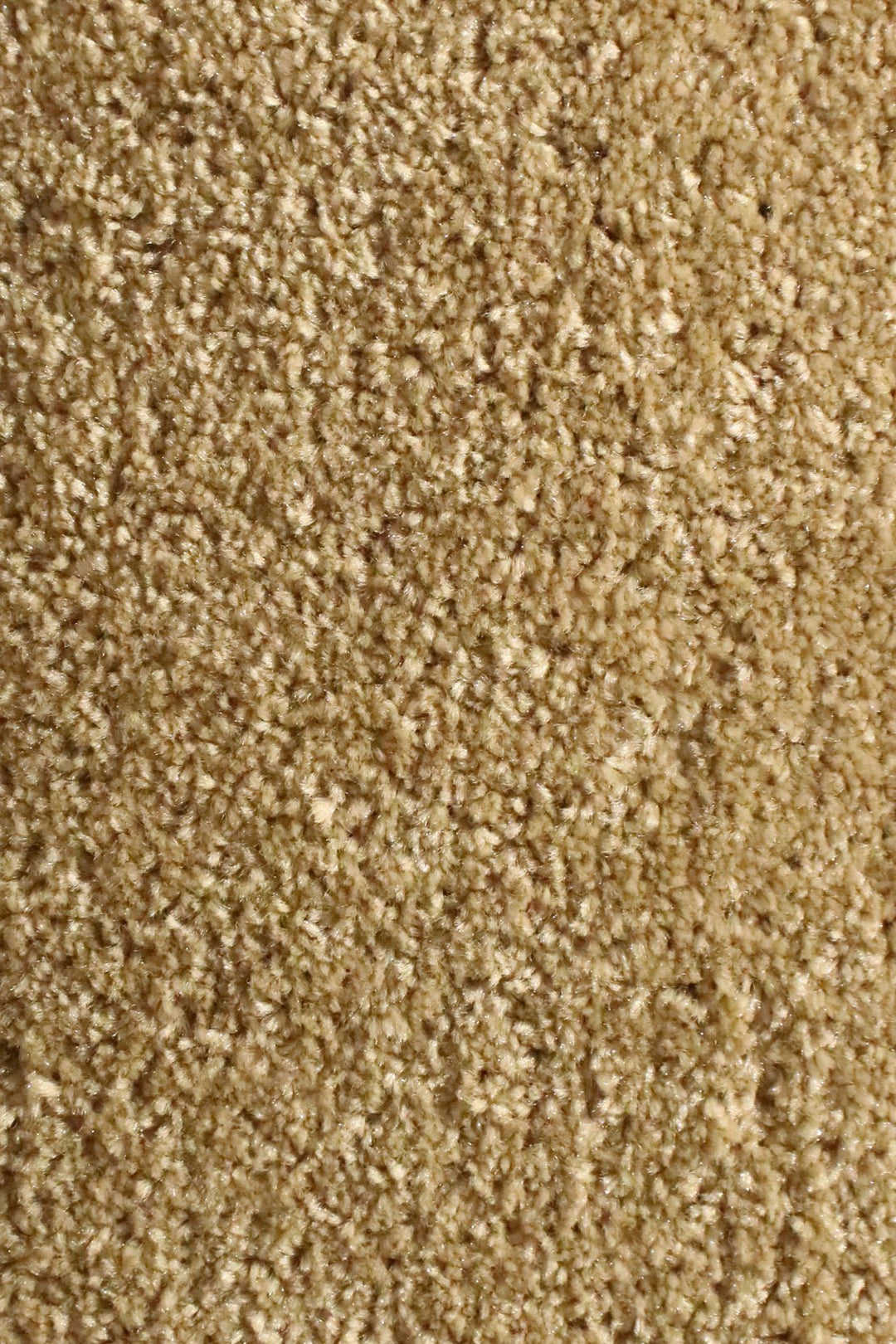 Shigar - 12-Foot Wide Wall-to-Wall Carpet - V Surfaces