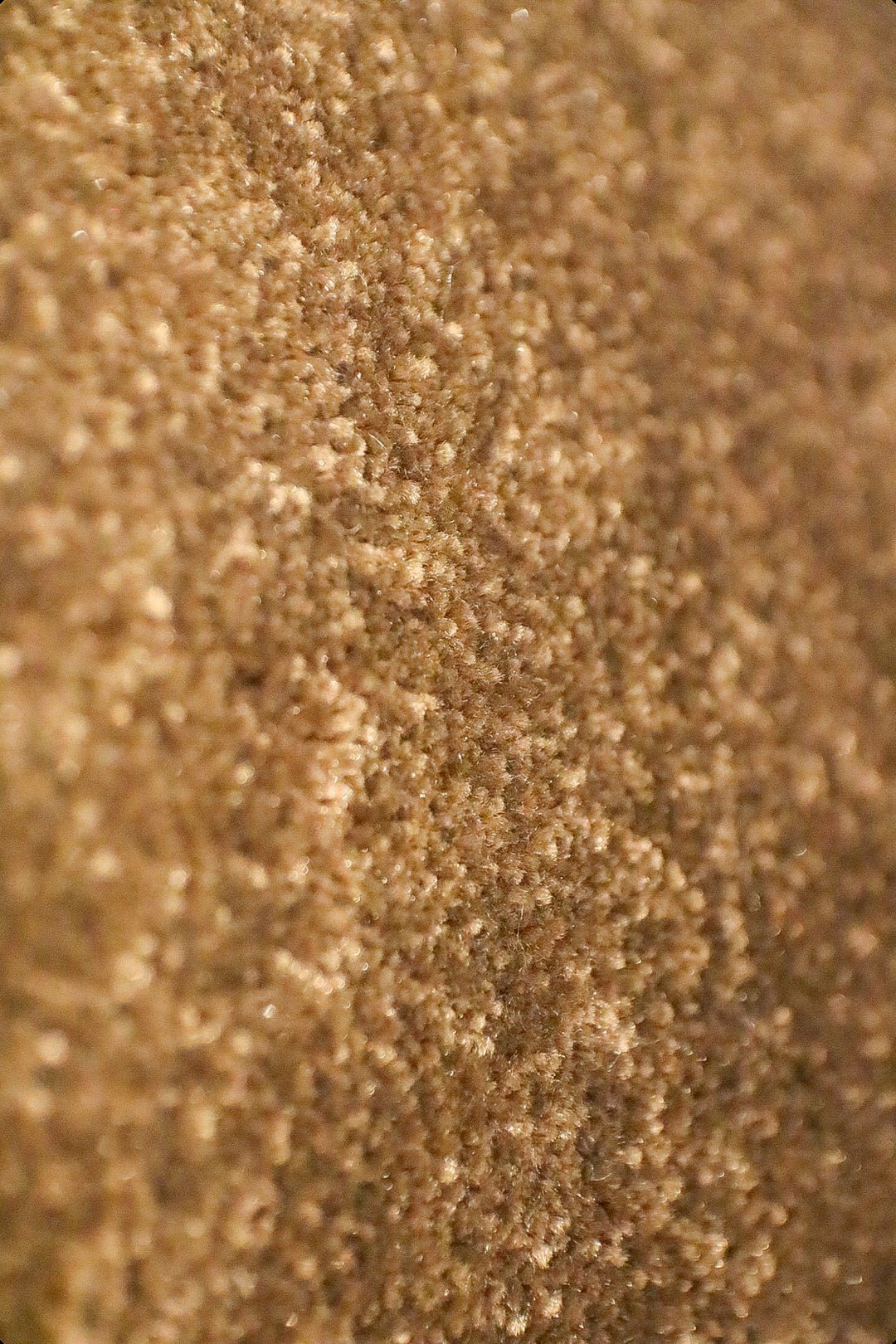 Shigar - 12-Foot Wide Wall-to-Wall Carpet - V Surfaces