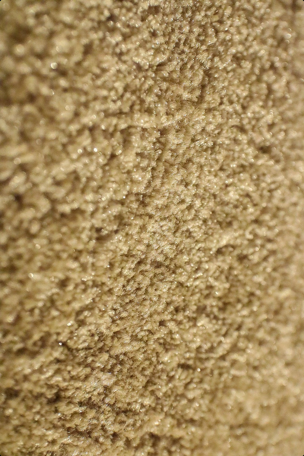 Shigar - 12-Foot Wide Wall-to-Wall Carpet - V Surfaces