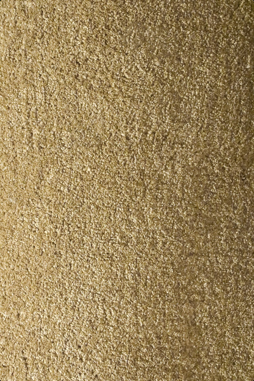 Shigar - 12-Foot Wide Wall-to-Wall Carpet - V Surfaces