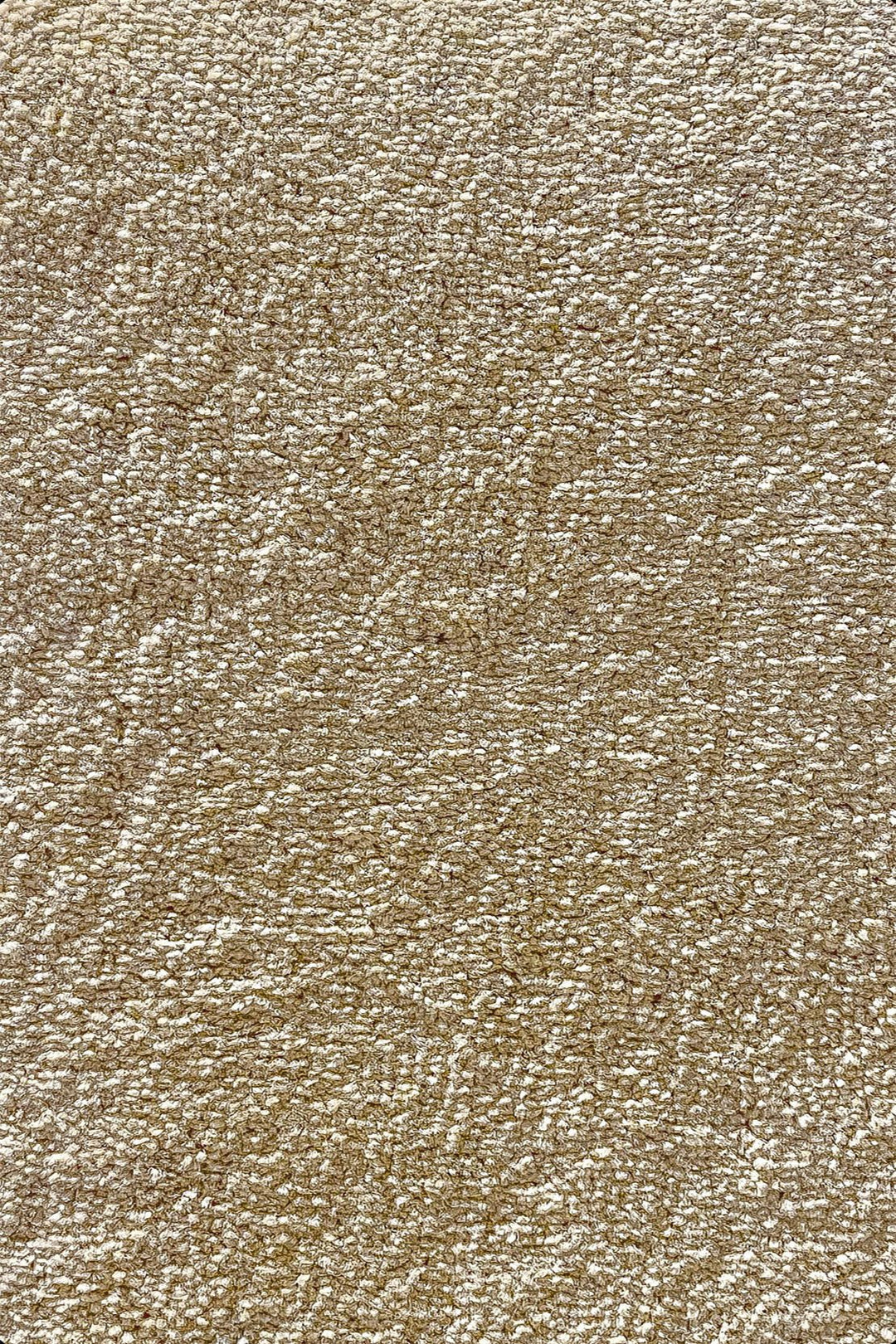 Shigar - 12-Foot Wide Wall-to-Wall Carpet, Brown - V Surfaces