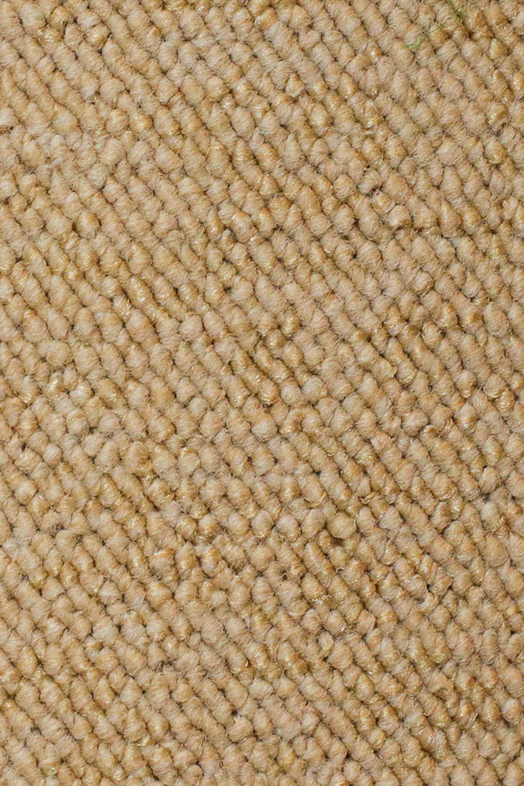 Wall to Wall Carpet Barbar 9016 - V Surfaces