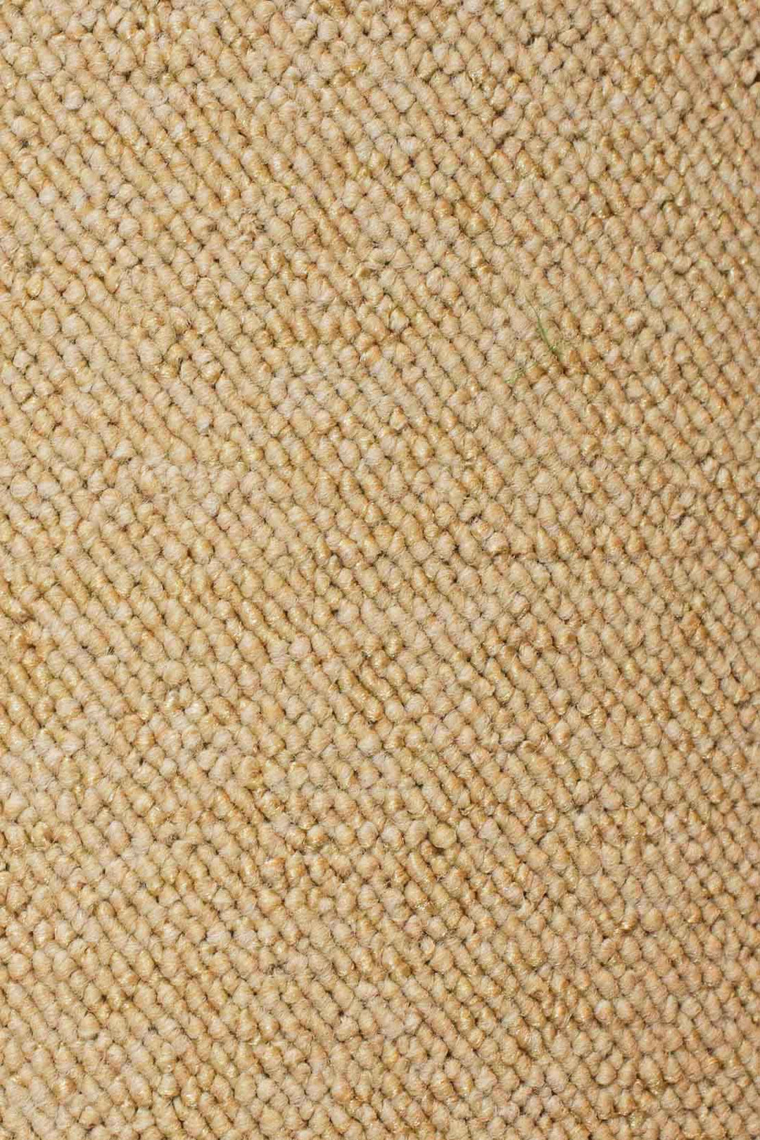 Wall to Wall Carpet Barbar 9016 - V Surfaces