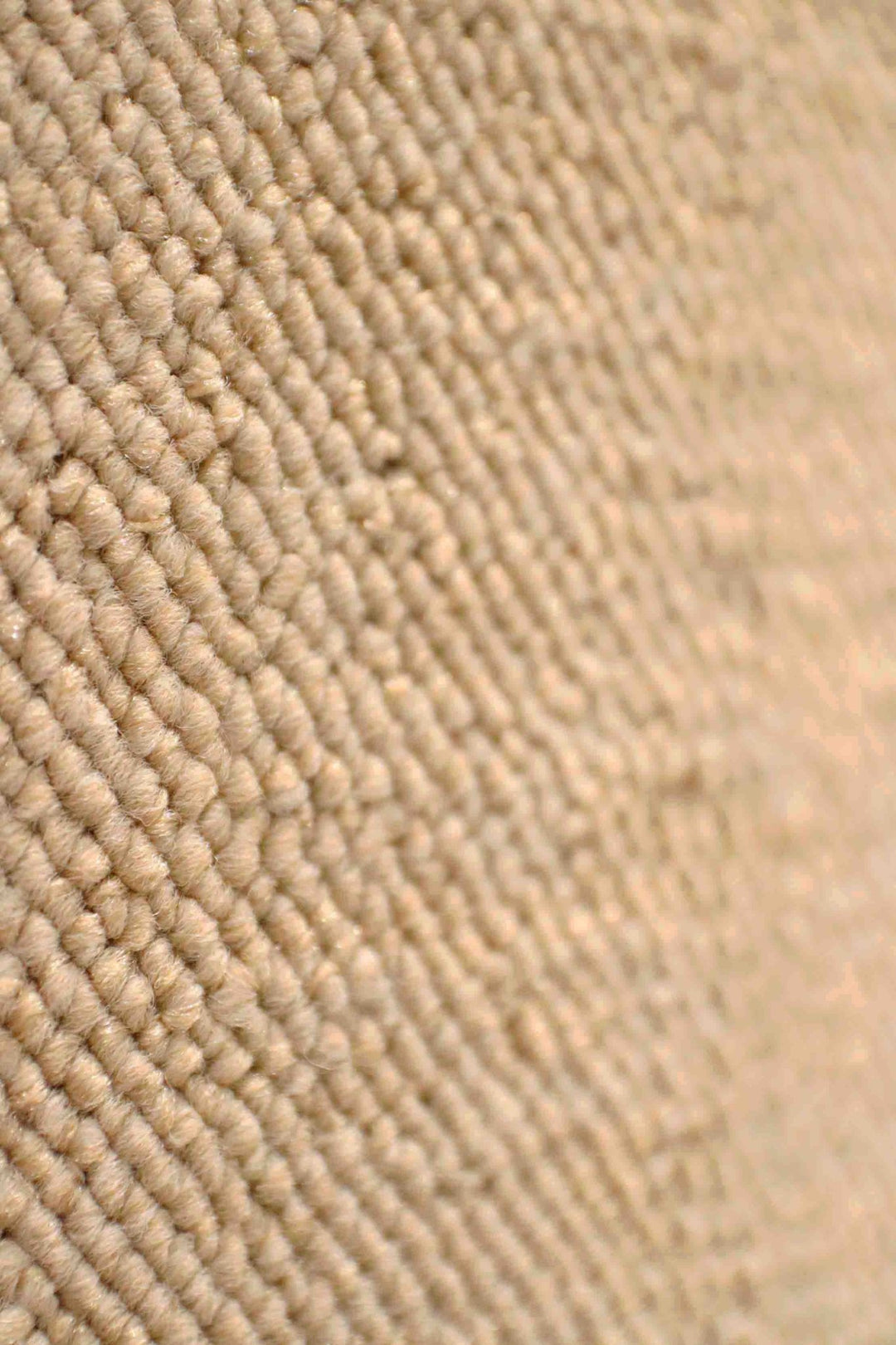 Wall to Wall Carpet Barbar 9016 - V Surfaces