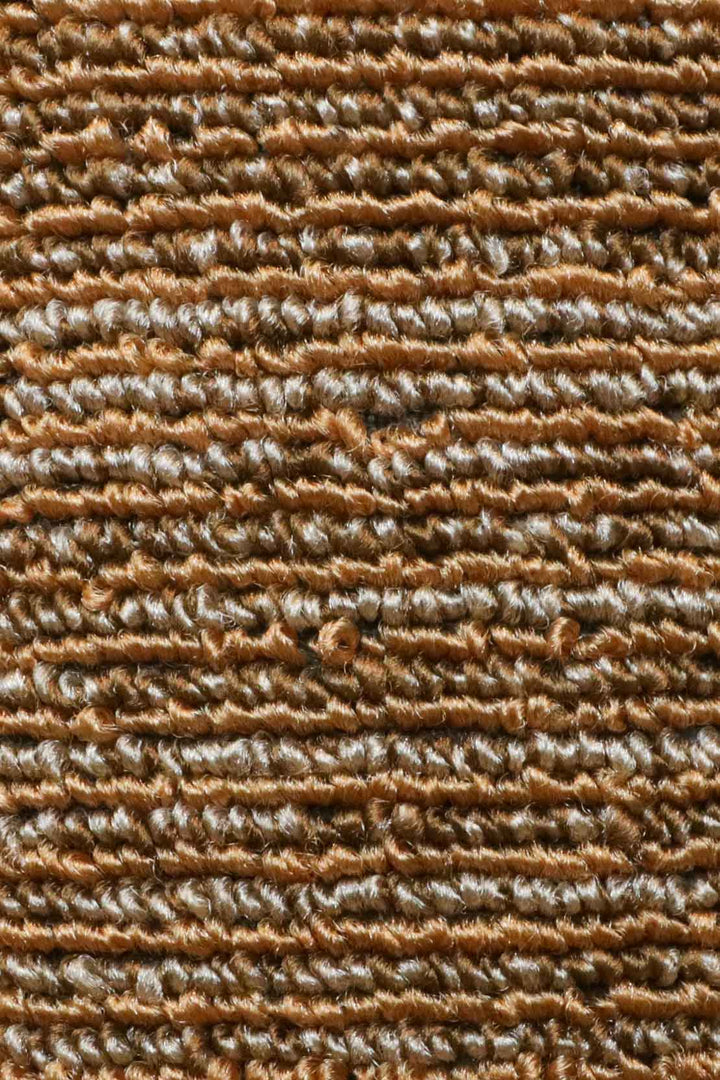 Wall to Wall Carpet Reflection 81 - V Surfaces