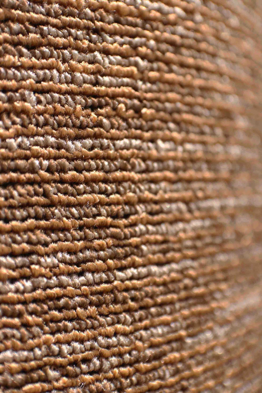 Wall to Wall Carpet Reflection 81 - V Surfaces