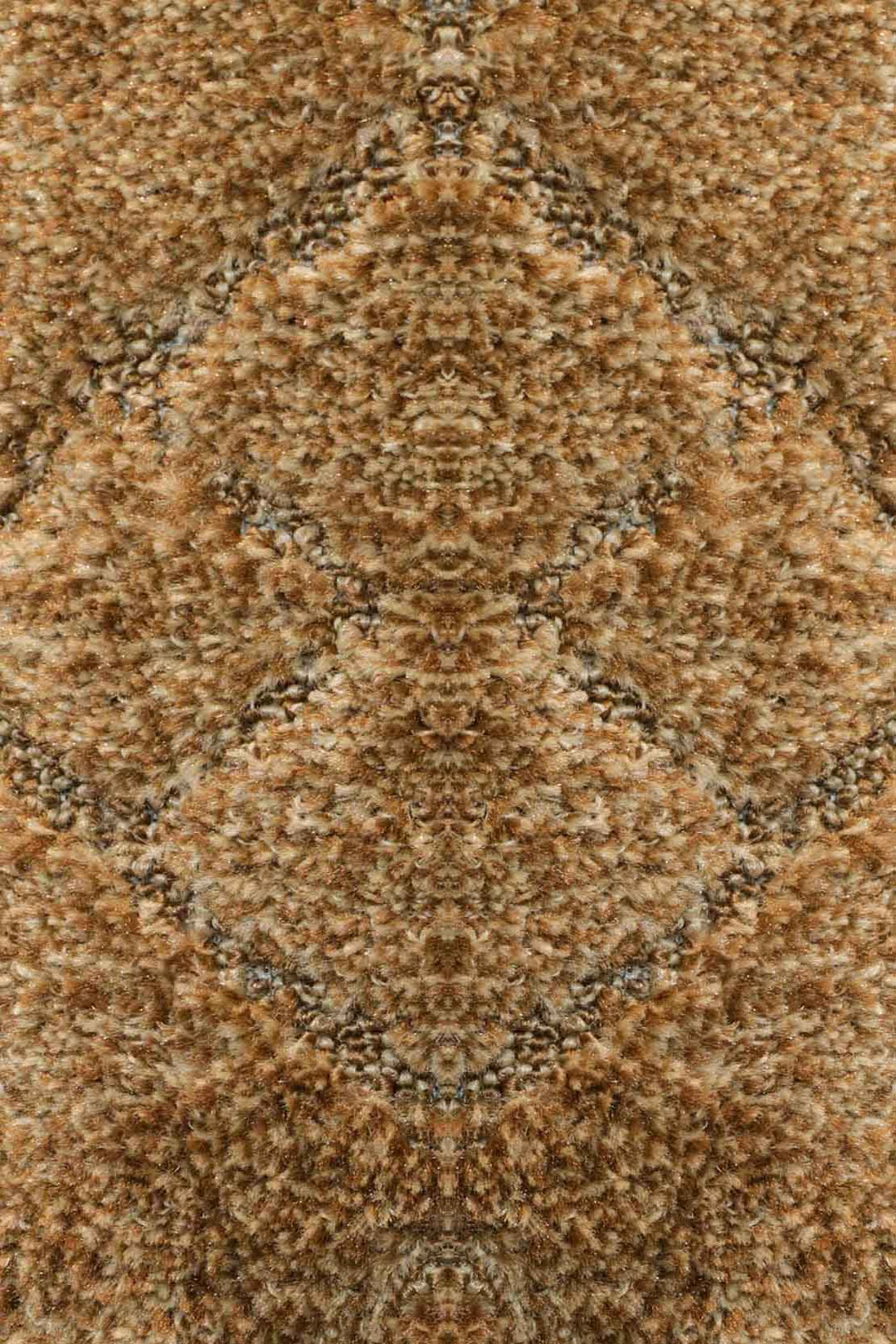 Wall to Wall Carpet Square 68 - V Surfaces