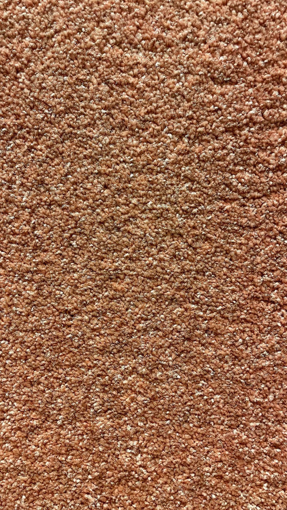 Yasrab 74 - 12 - Foot Wide Wall - to - Wall Carpet - V Surfaces