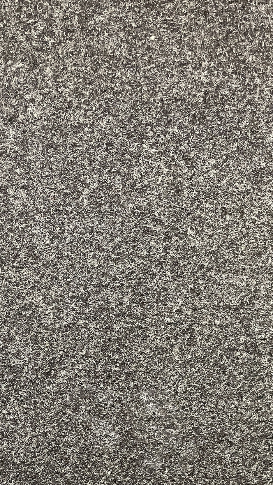 Yasrab 74 - 12 - Foot Wide Wall - to - Wall Carpet - V Surfaces