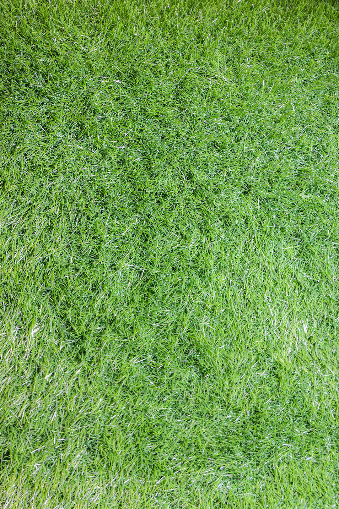 40 MM Turbo Artificial Grass
