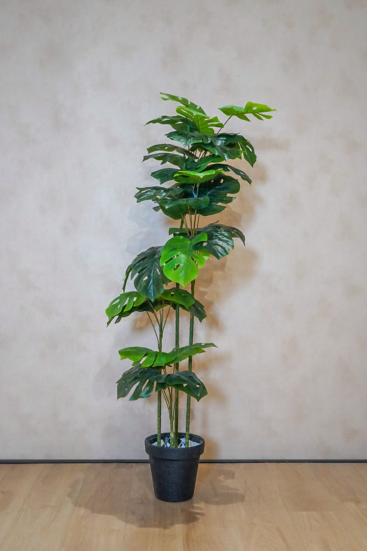 Premium Artificial Plant