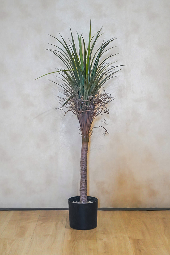 Premium Artificial Plant