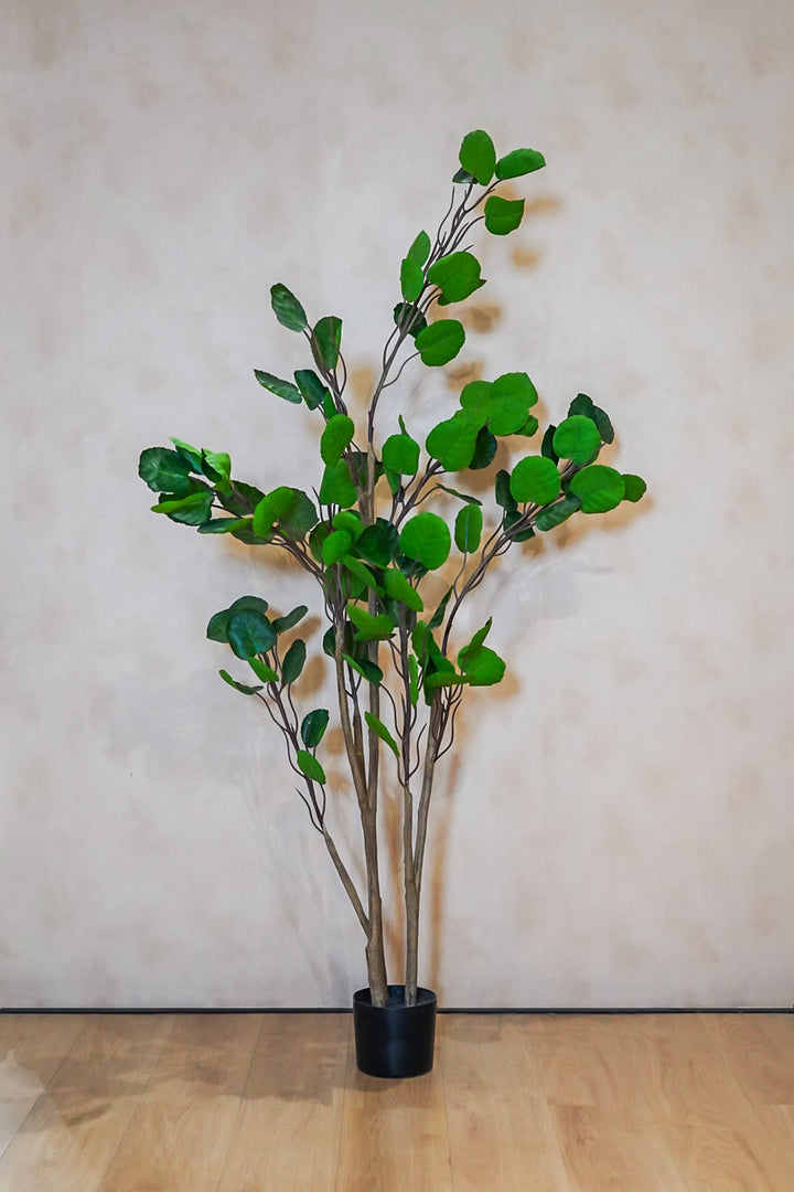 Premium Artificial Plant