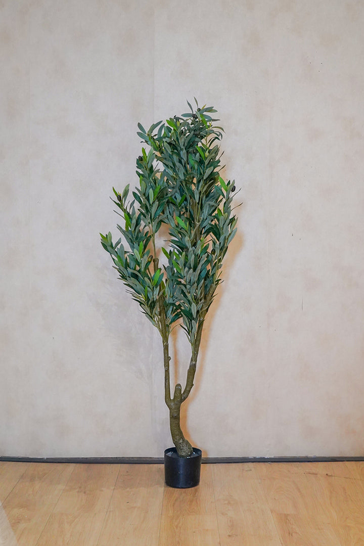 Premium Artificial Plant
