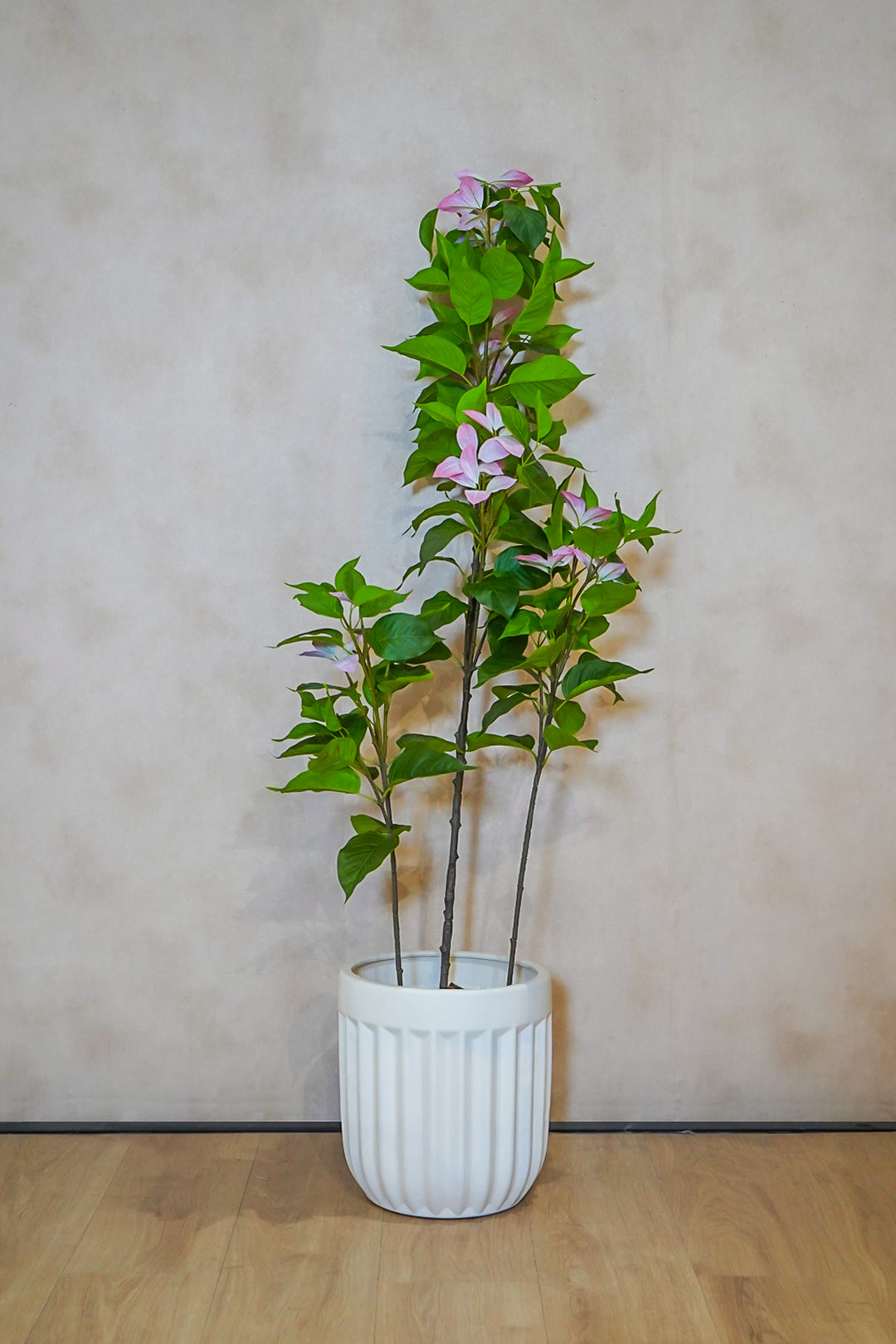 Premium Artificial Plant