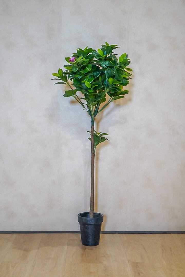 Premium Artificial Plant