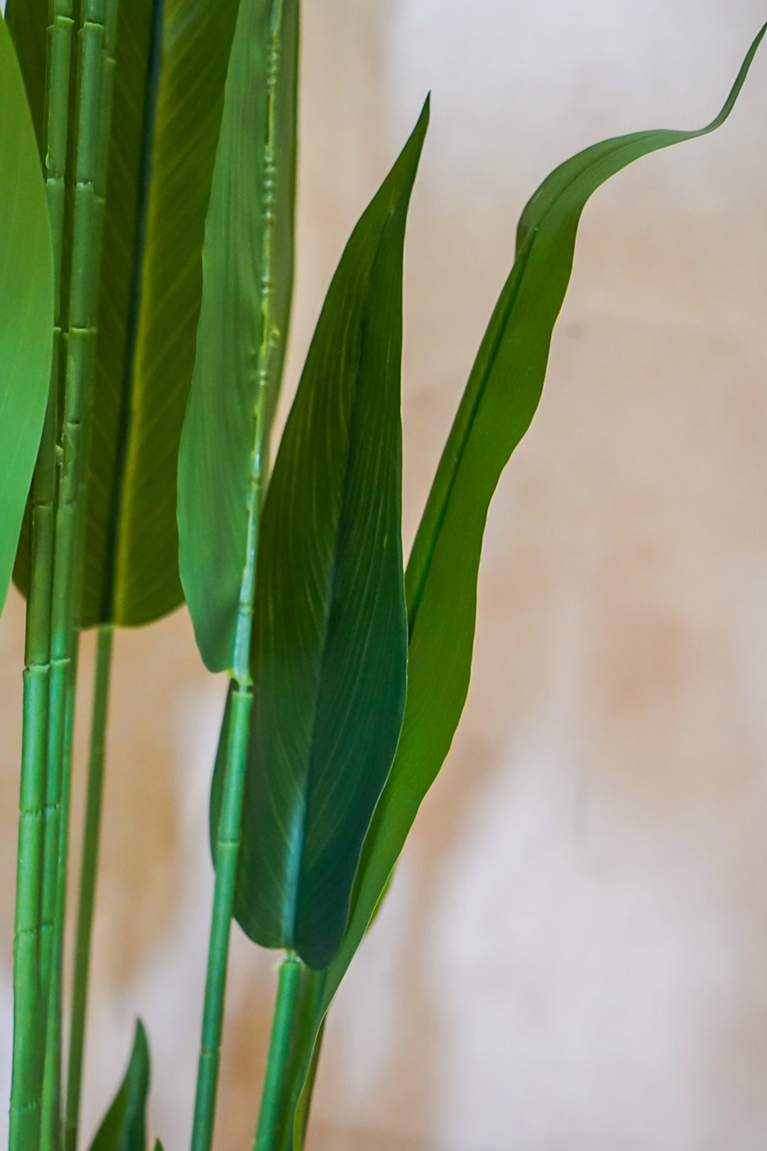 Premium Artificial Plant