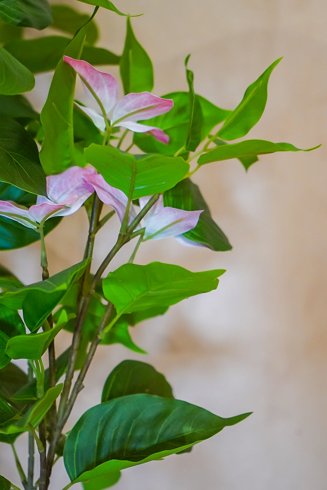 Premium Artificial Plant