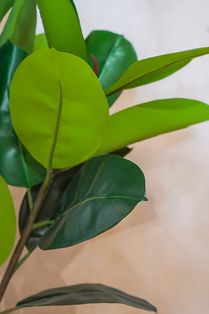 Premium Artificial Plant