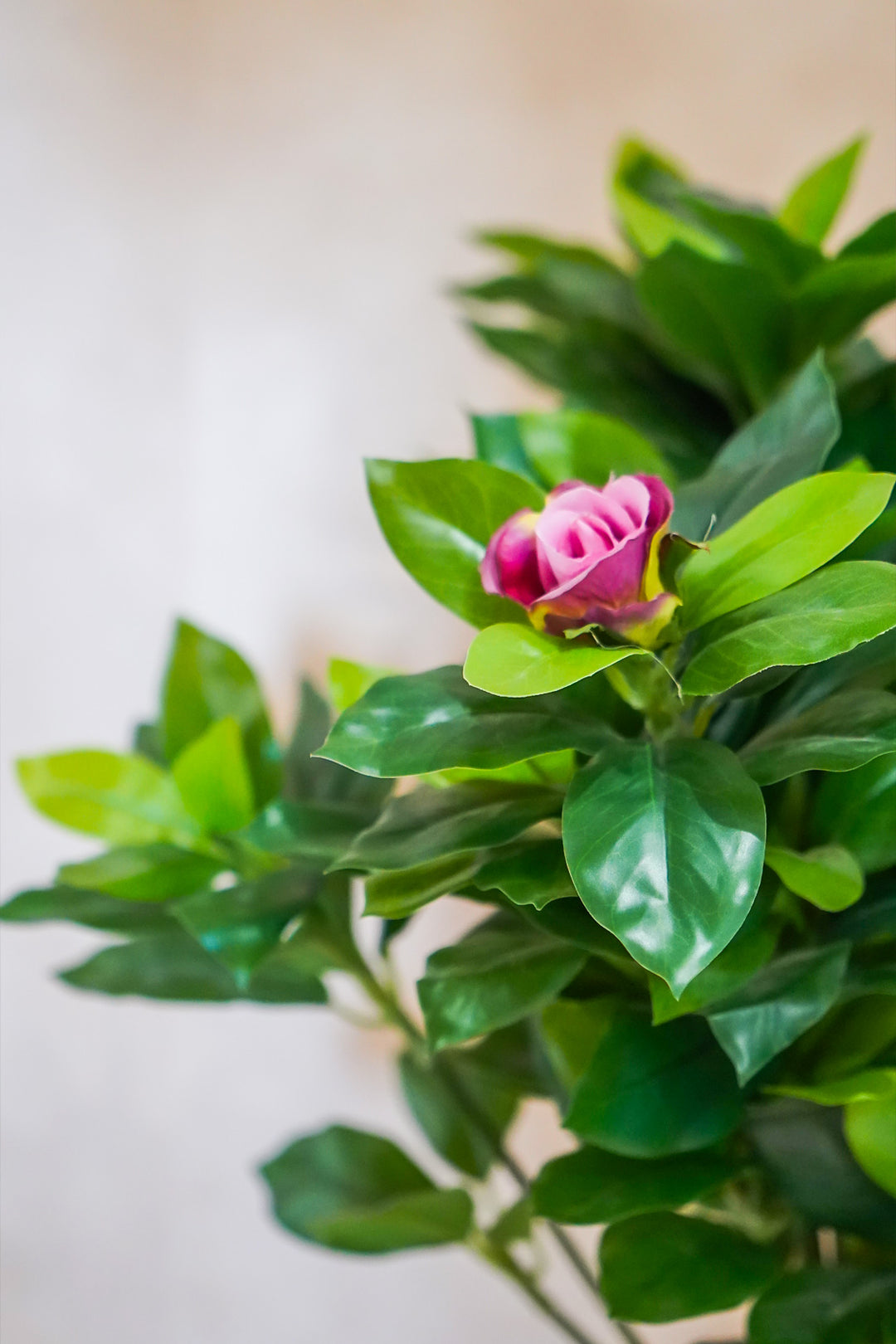Premium Artificial Plant