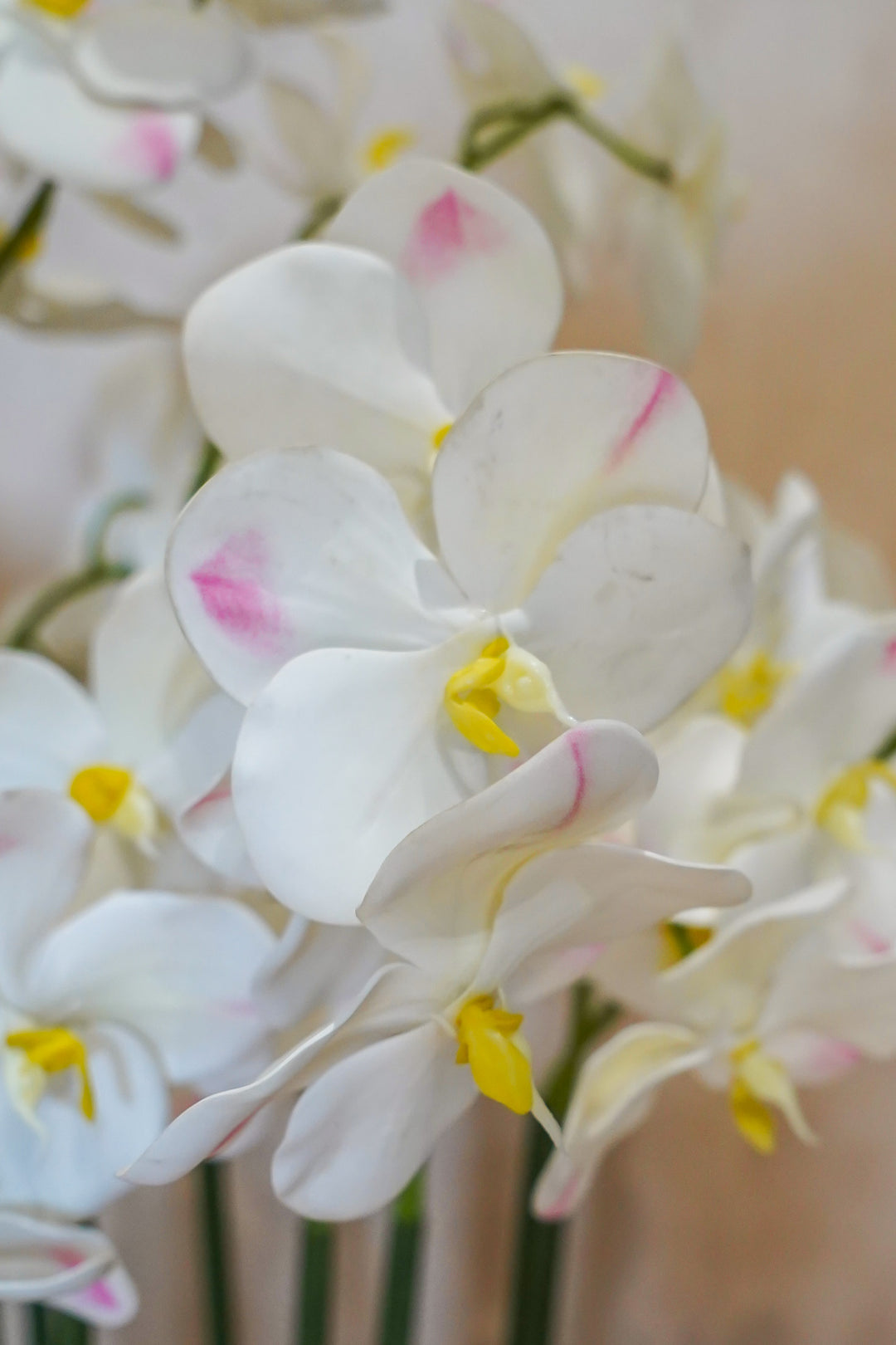 Premium Artificial Plant
